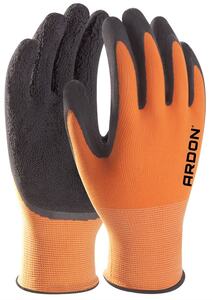 Rukavice PETRAX, balení 12 párů