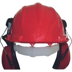 lesnická pracovní přilba