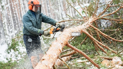 Pracovní oděvy a pomůcky určené pro práci se dřevem