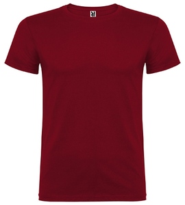 Tričko pánské BEAGLE (3XL) barevné